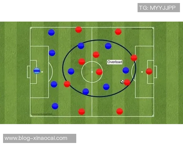 北京羽毛球队防守策略解析：深度剖析其战术与技术优势