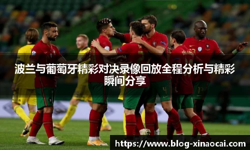 新澳彩24码