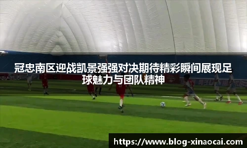 新澳彩公式