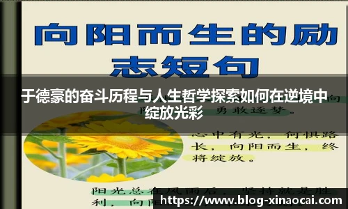 新澳彩
