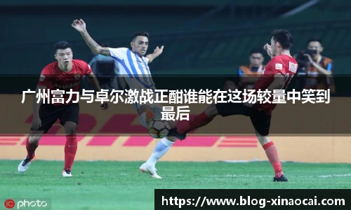 新澳彩公式