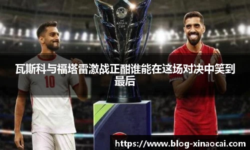 新澳彩24码